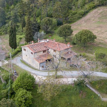 Fattoria Di Cintoia Villa Pontassieve Exterior photo