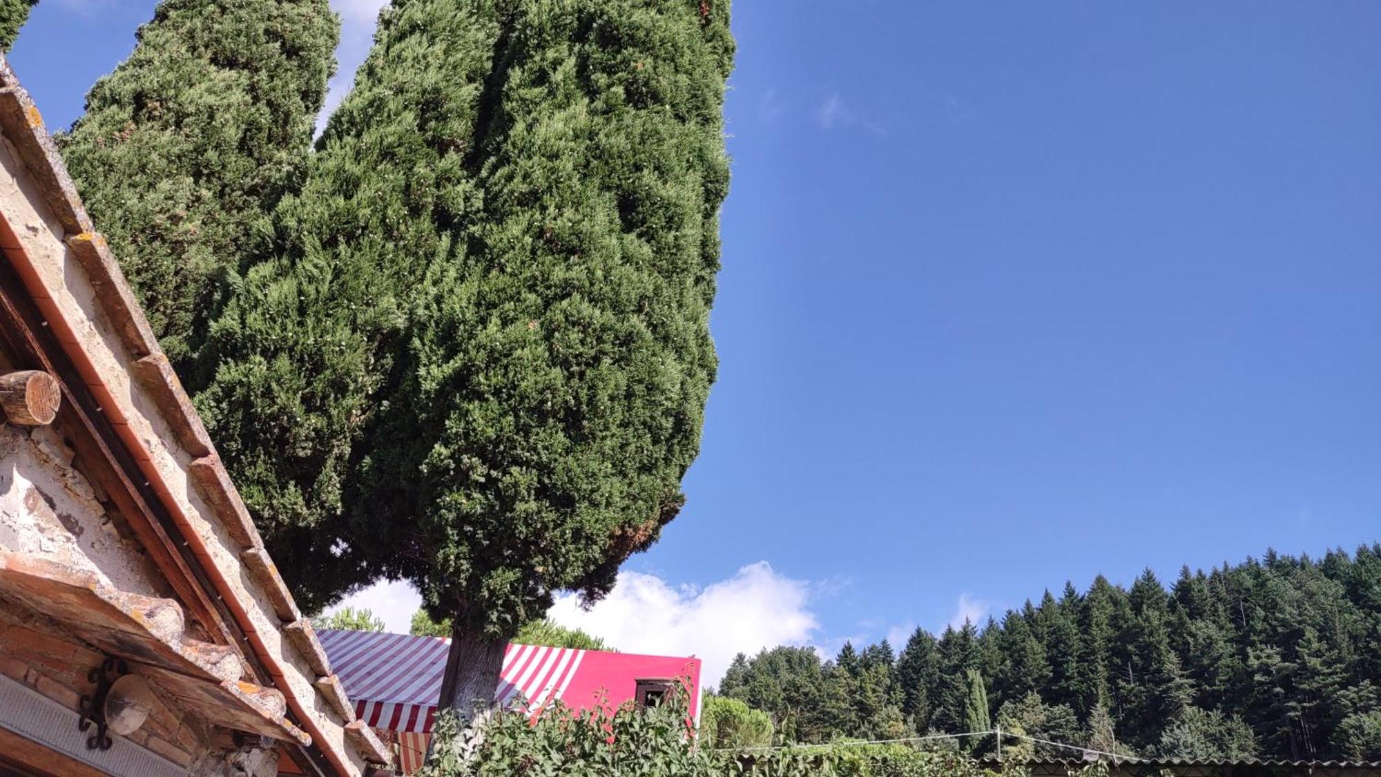 Fattoria Di Cintoia Villa Pontassieve Exterior photo