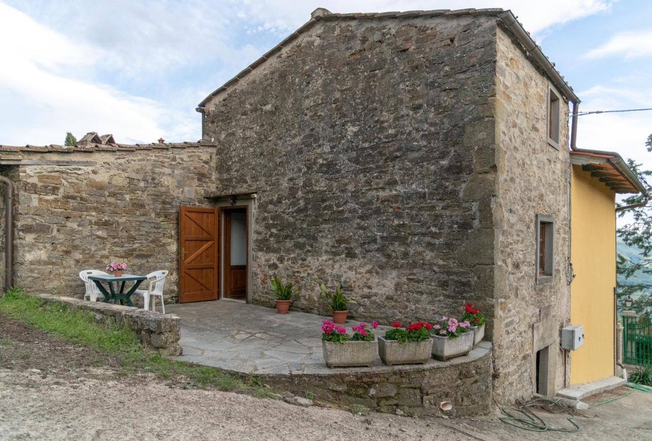 Fattoria Di Cintoia Villa Pontassieve Exterior photo